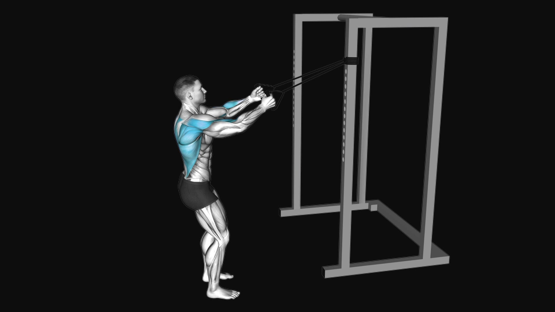 Band Narrow Grip High Row