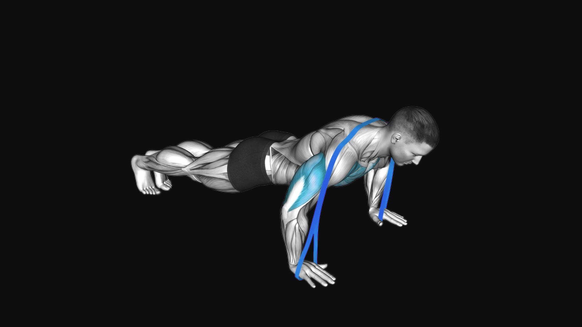 Resistance Band Push up