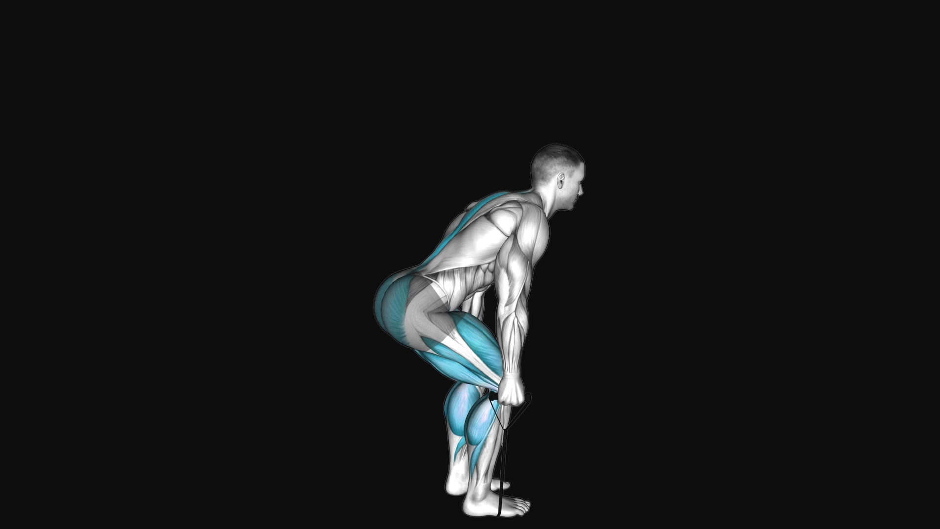Band Deadlift