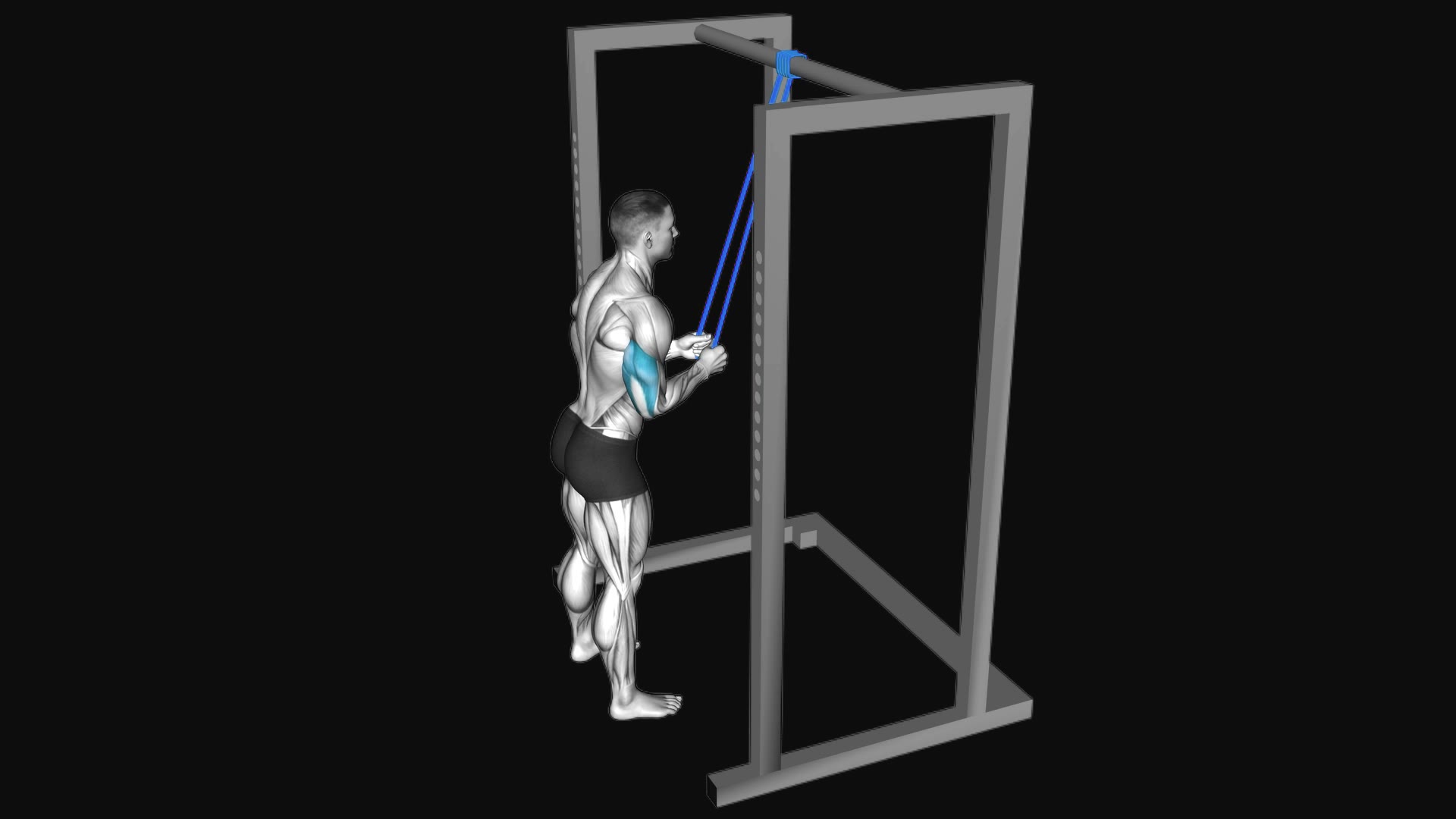 Resistance Band Triceps Pushdown
