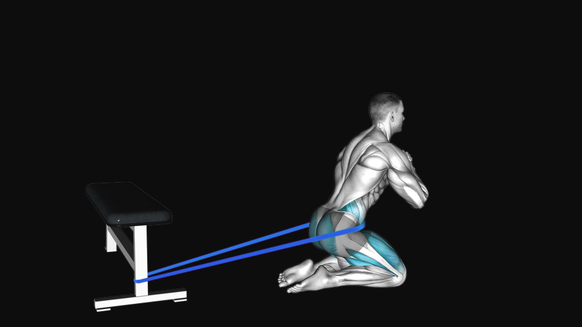 Resistance Band Hip Thrusts on Knees