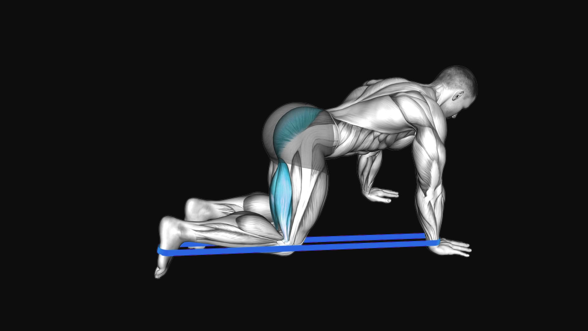 Resistance Band Leg Kickback