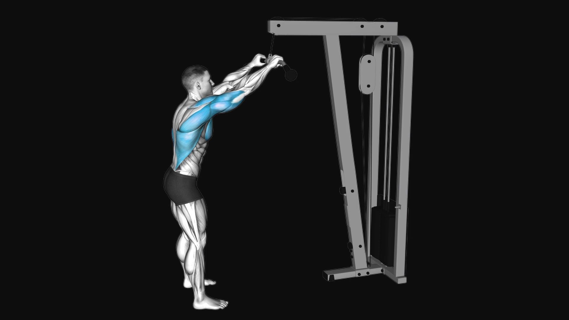 Cable Straight Arm Pushdown