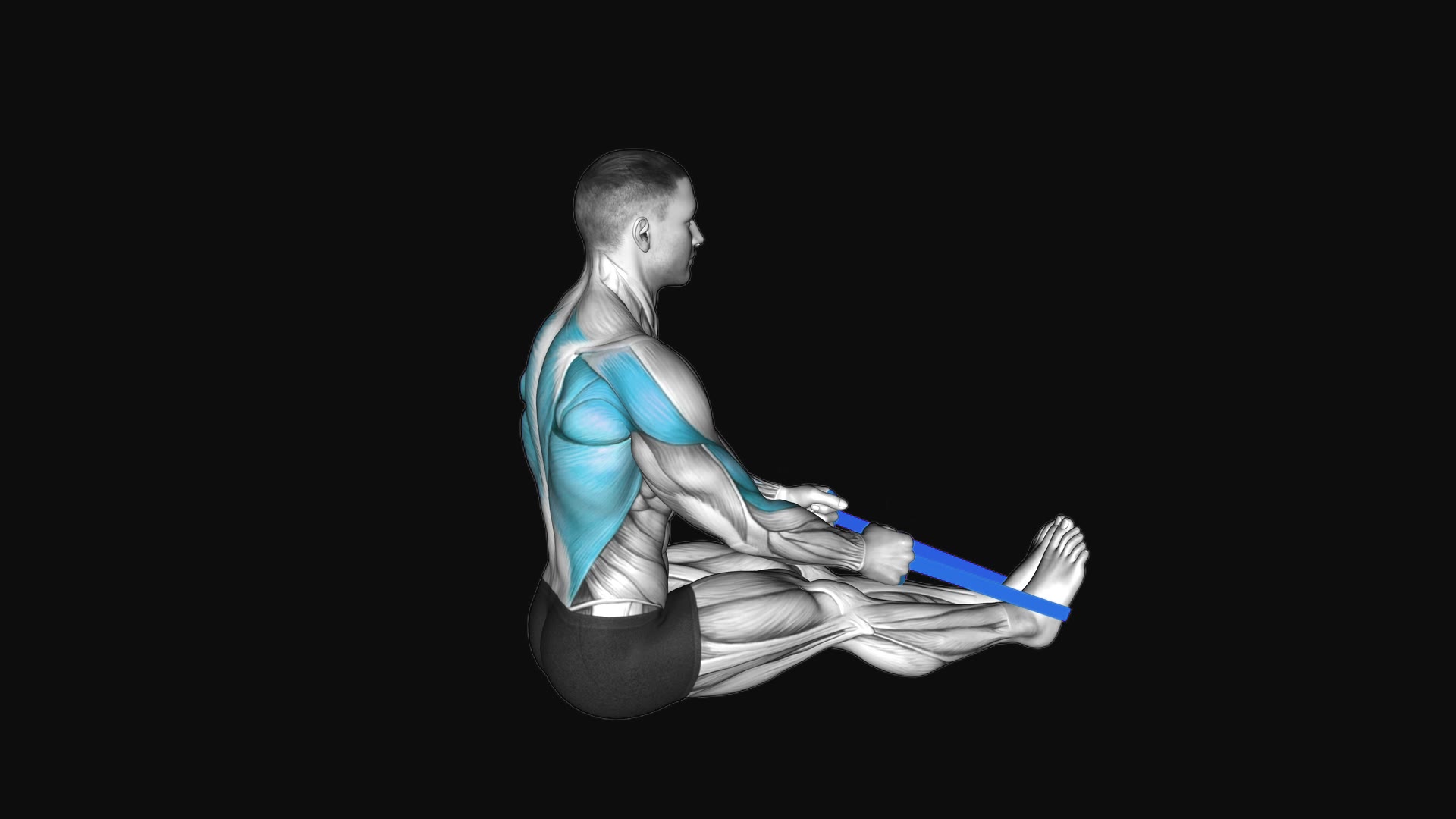 Resistance Band Seated Row