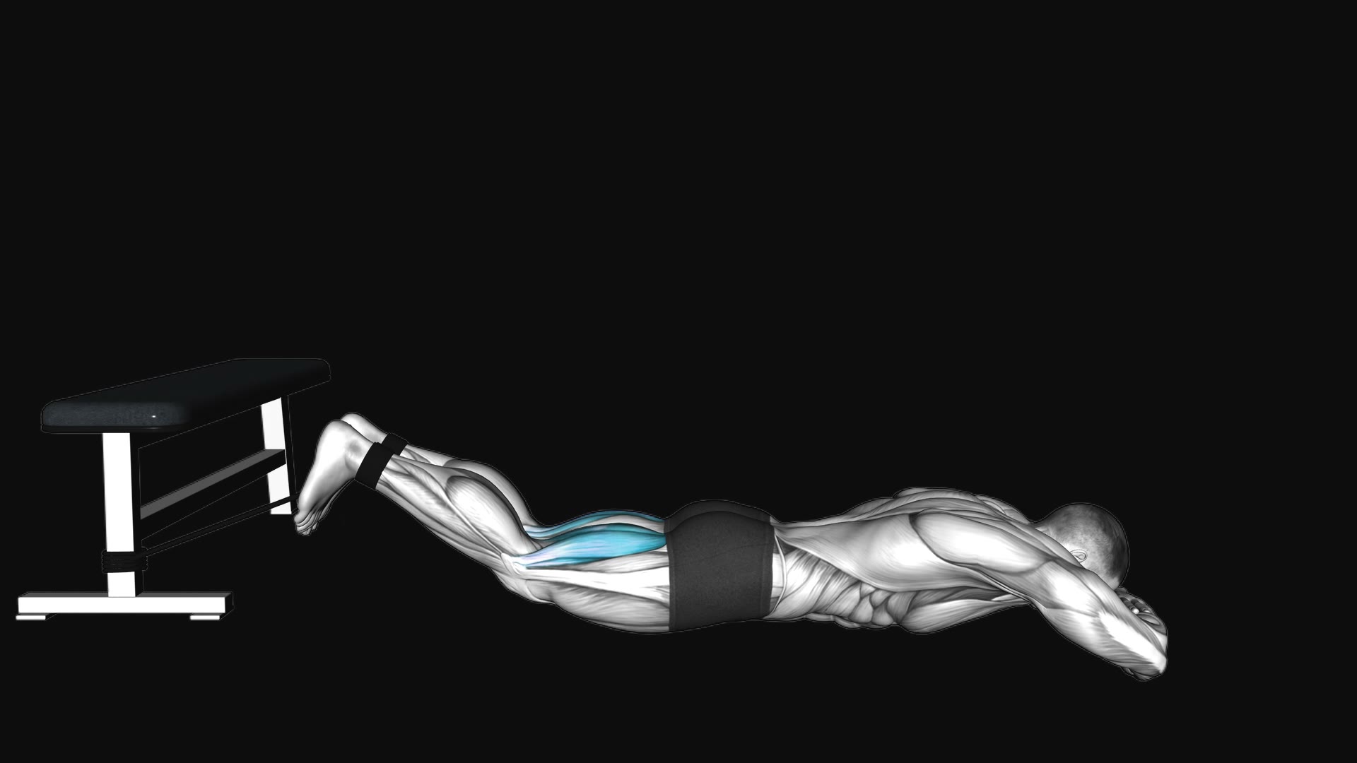 Band Lying Leg Curl