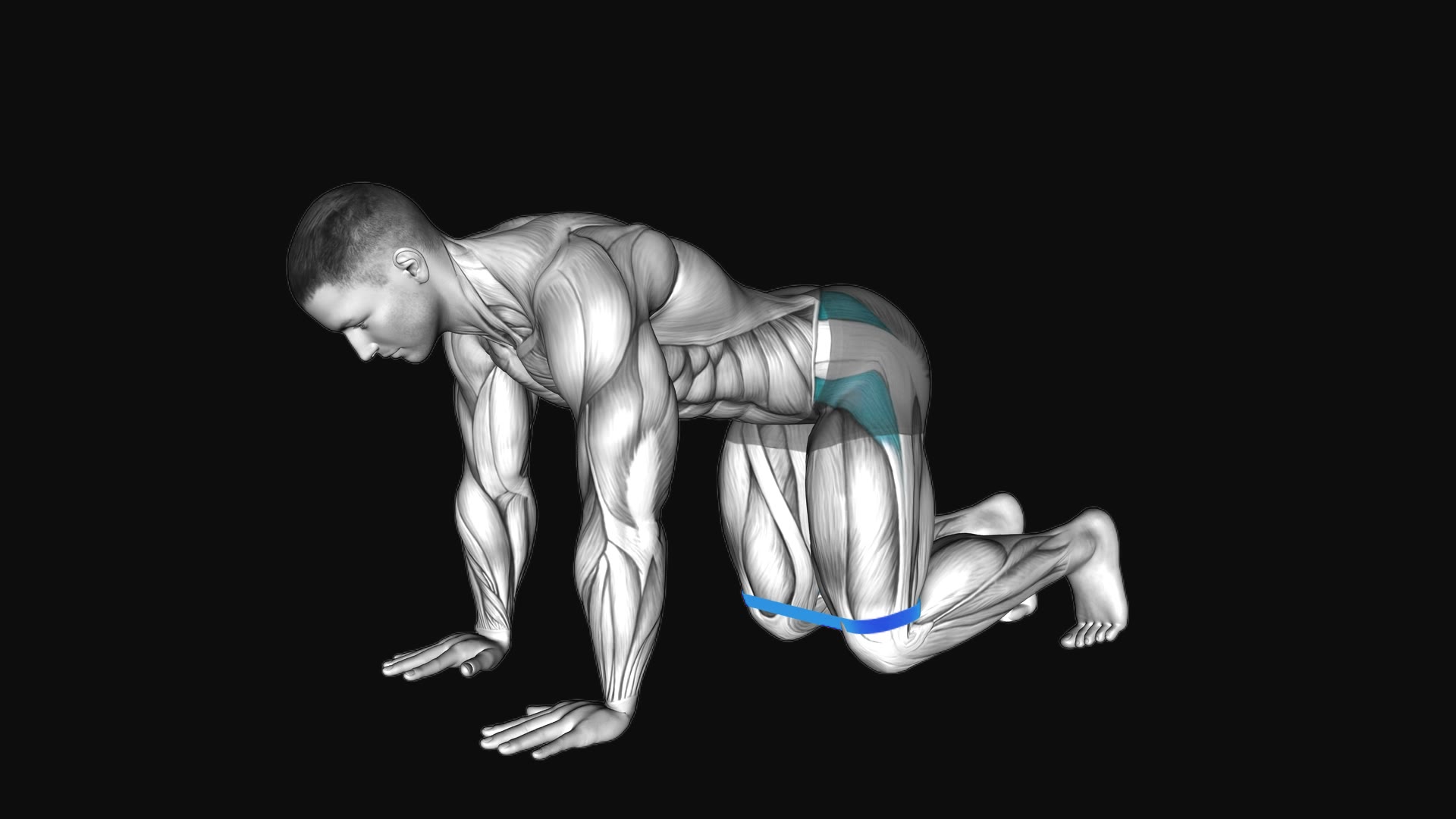 Resistance Band Bent Leg Side Kick (kneeling)