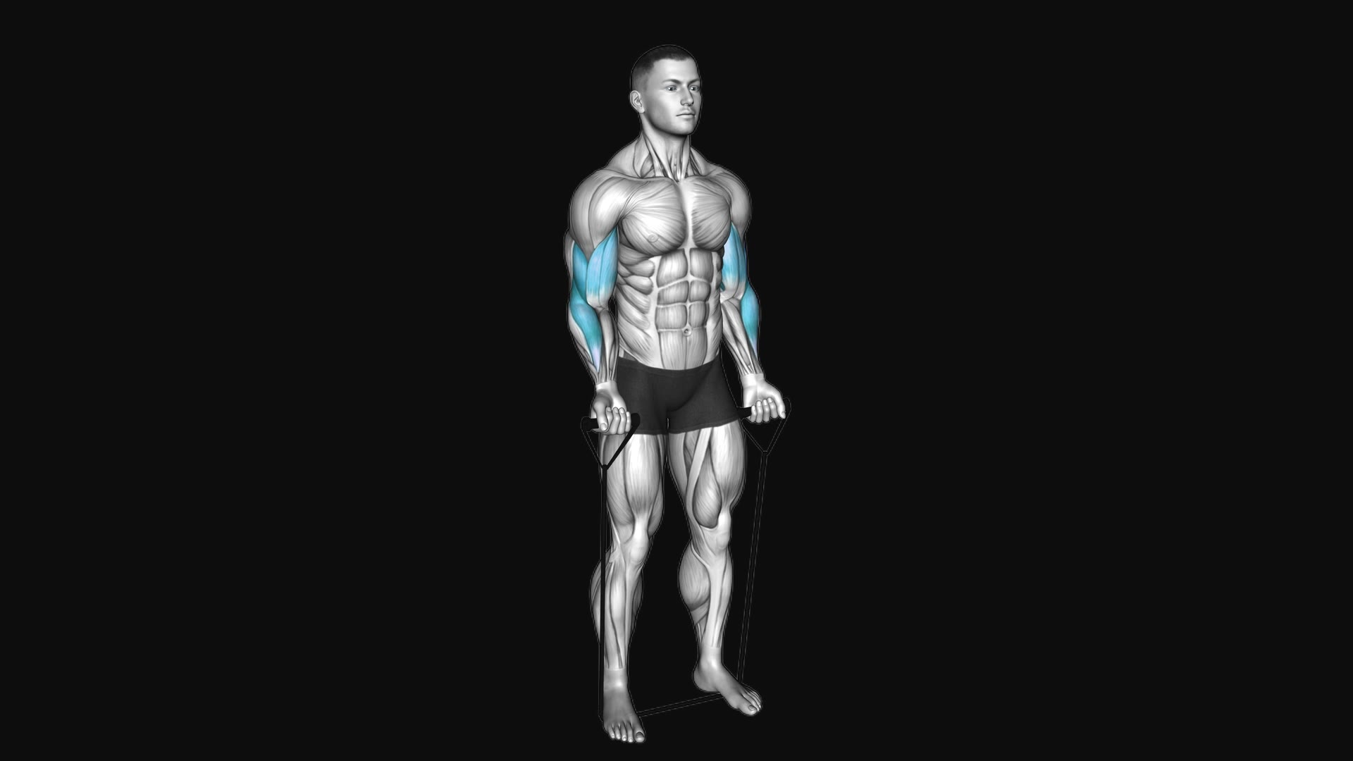 Band Alternating Biceps Curl