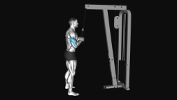 Cable Pushdown with Rope