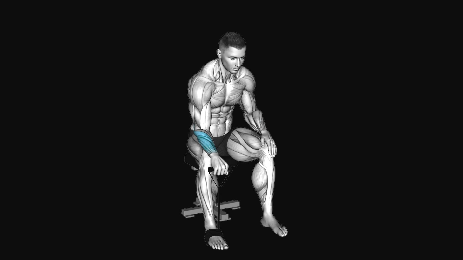 Band Reverse Wrist Curl