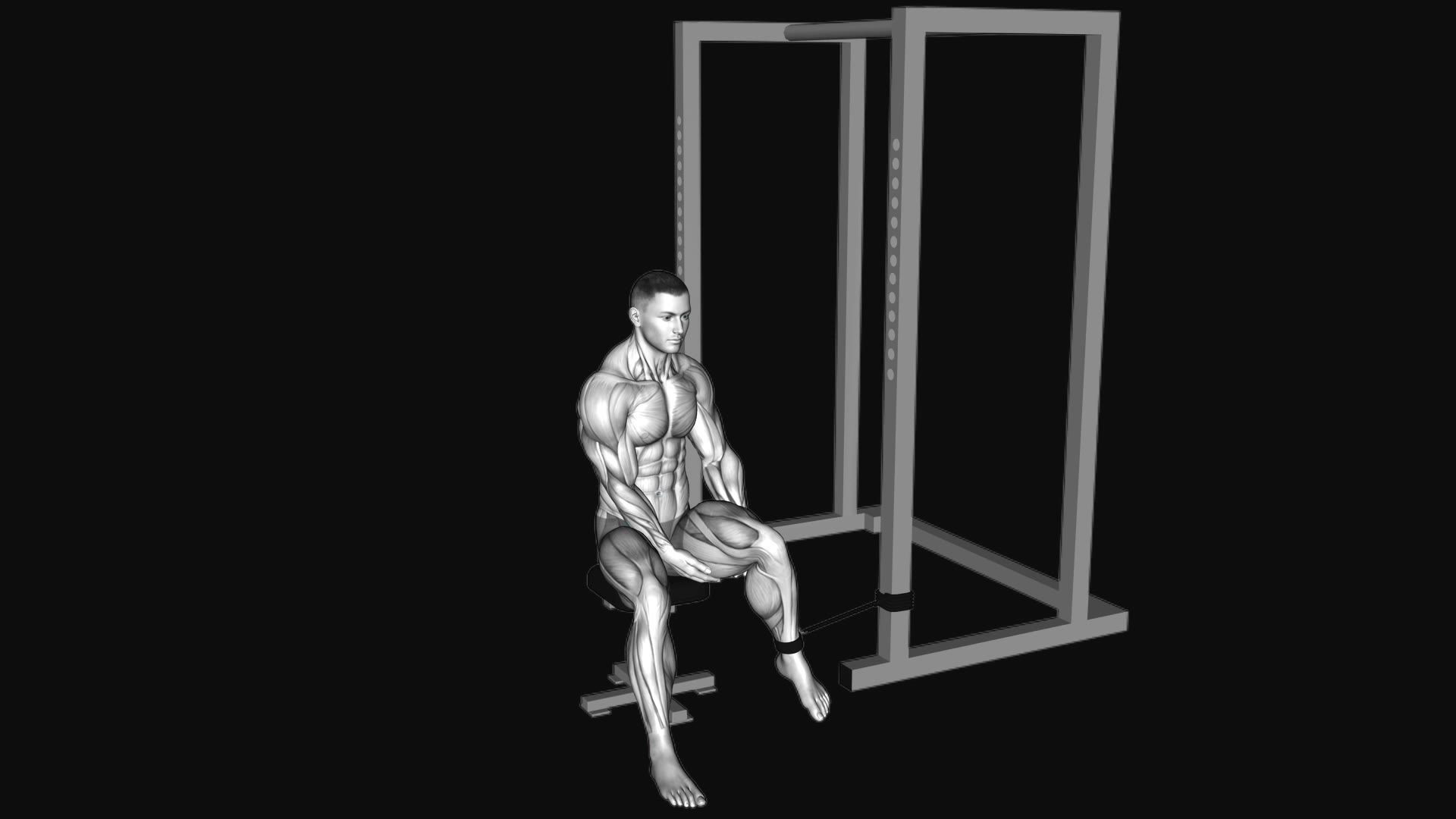 Band Seated Hip External Rotation