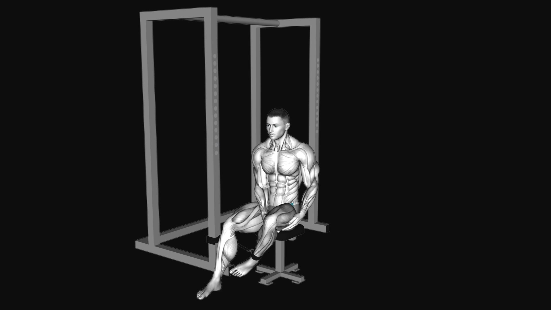 Band Seated Hip Internal Rotation