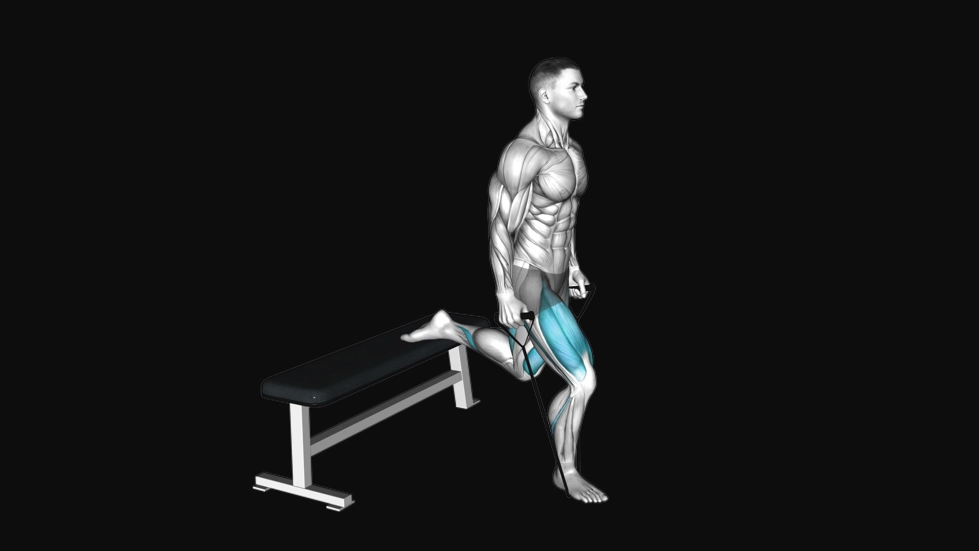 Band Single Leg Split Squat