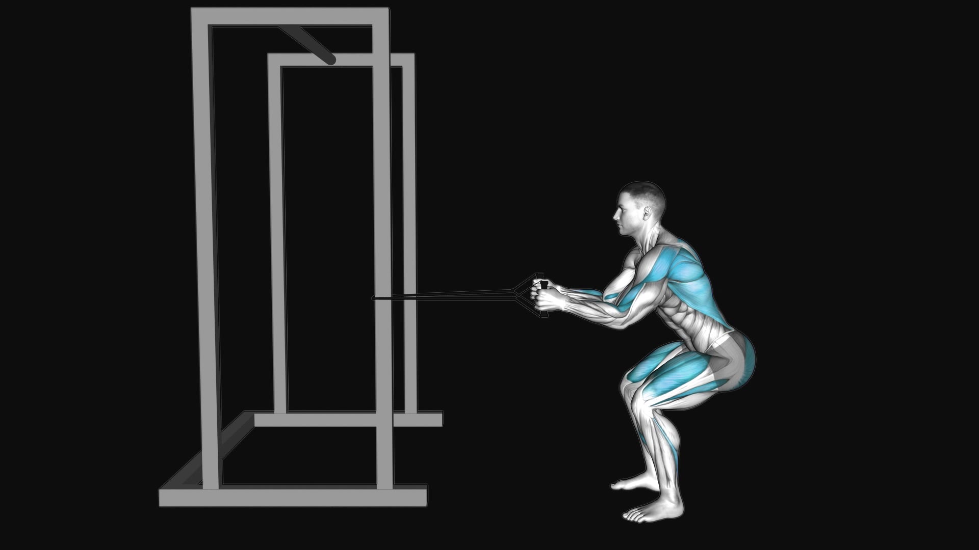 Band Squat Row