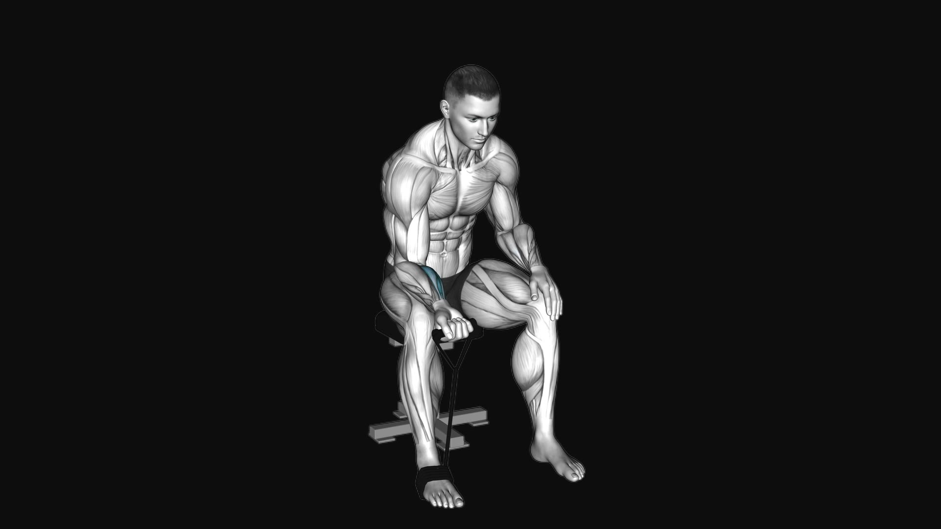 Band Wrist Curl