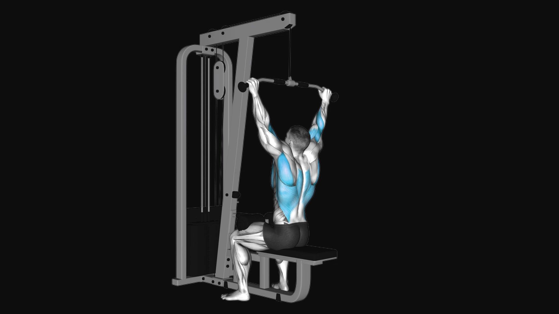 Cable Rear Pulldown
