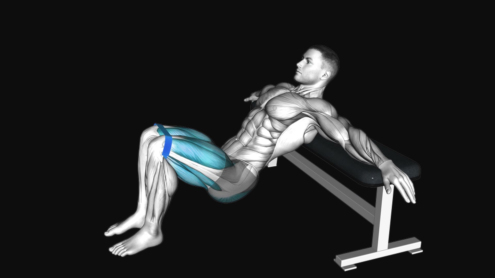Resistance Band Hip Thrusts