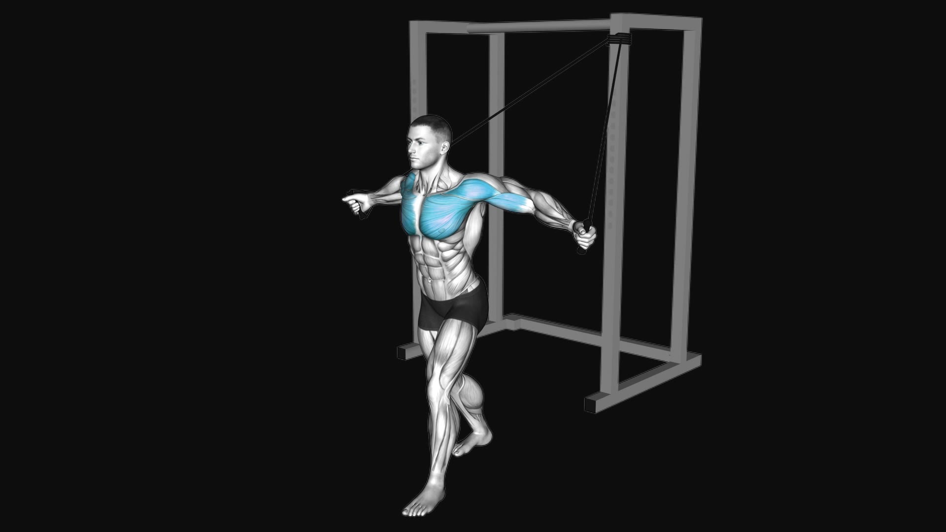 Band Low Chest Fly