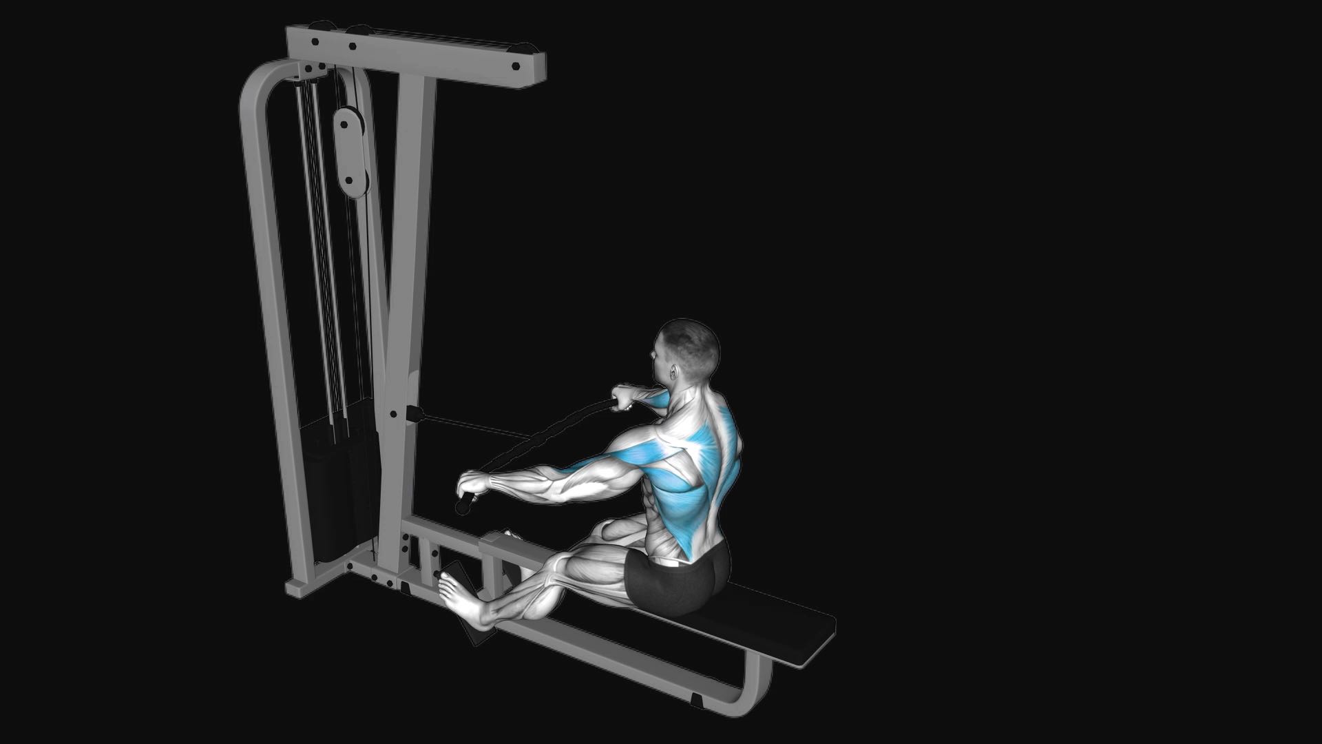 Cable Seated Wide Grip Row