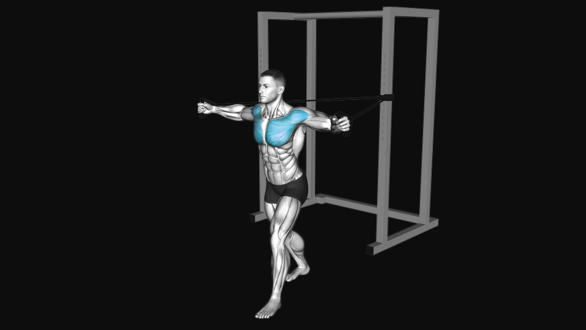 Band Chest Fly