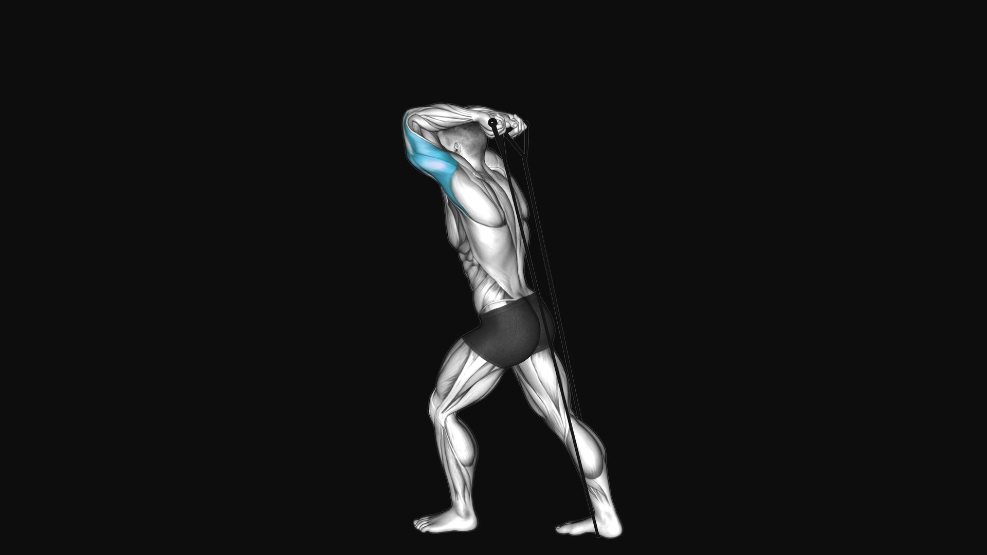 Band Overhead Triceps Extension (Version 2)