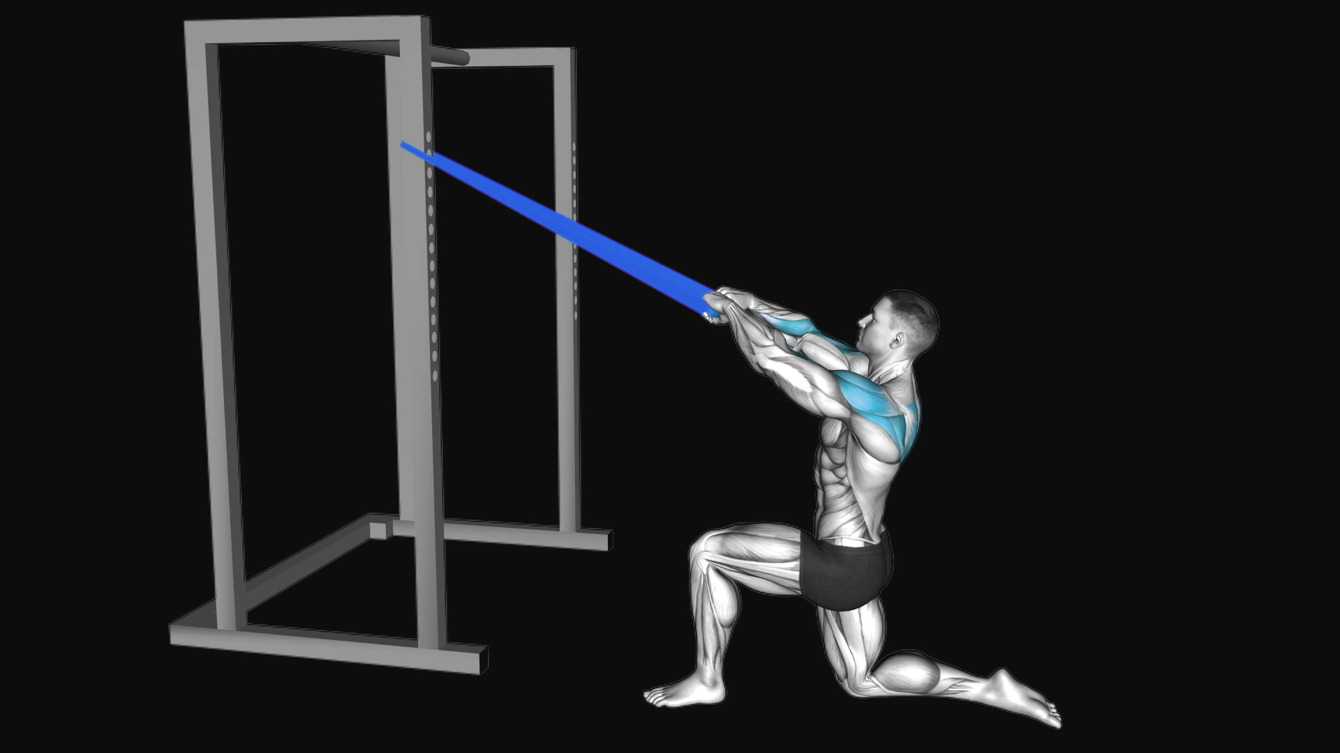 Resistance Band Half Kneeling Face Pull