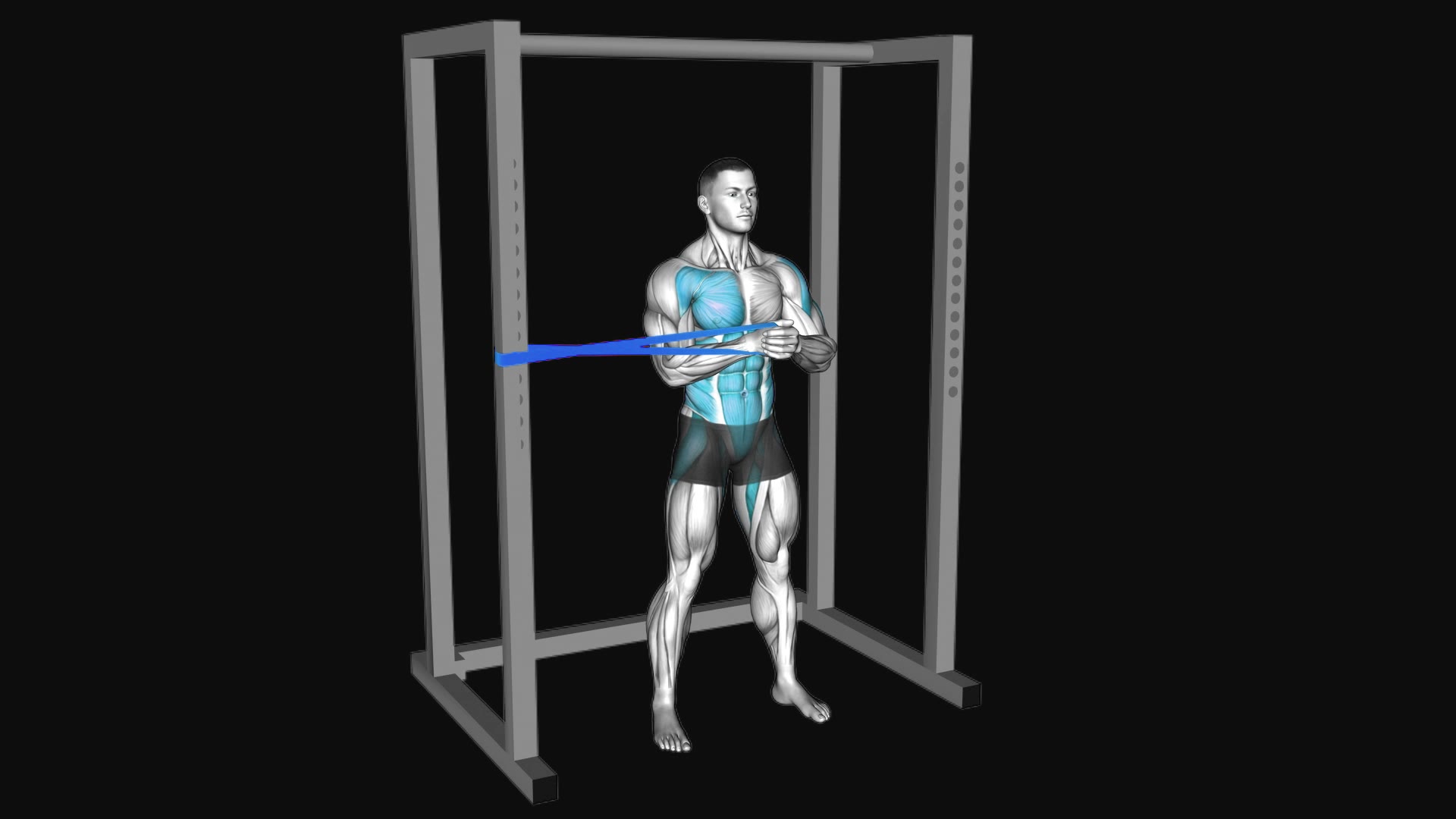 Resistance Band Horizontal Pallof Press