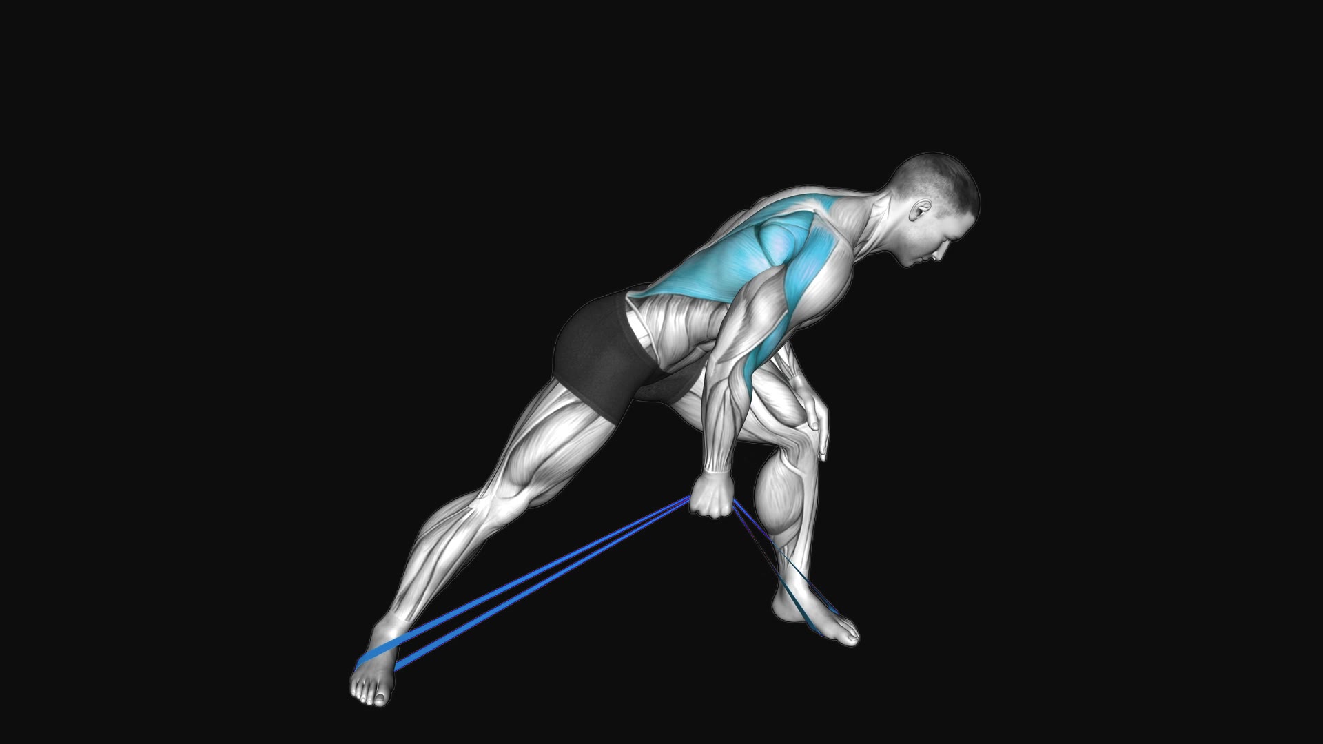 Resistance Band One Arm Bent over Row