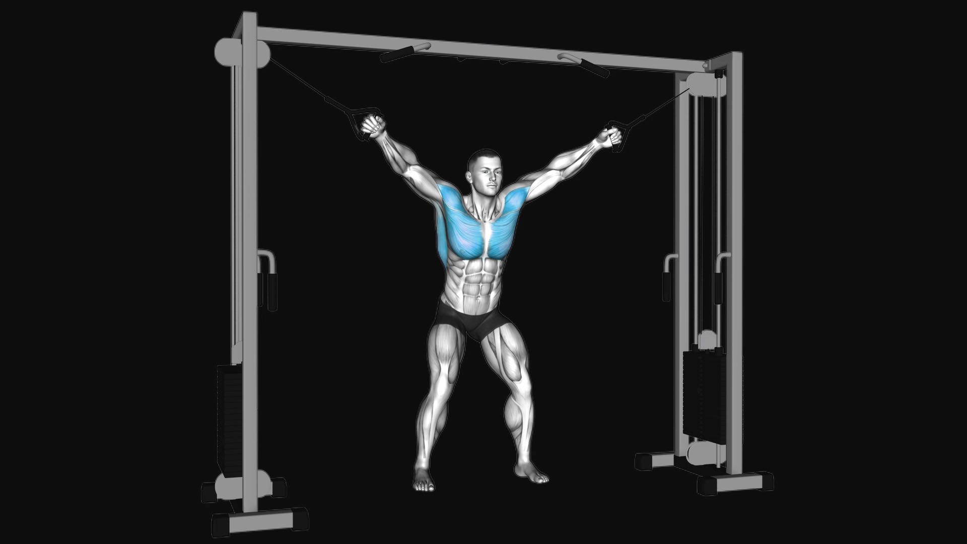 Cable Standing Fly