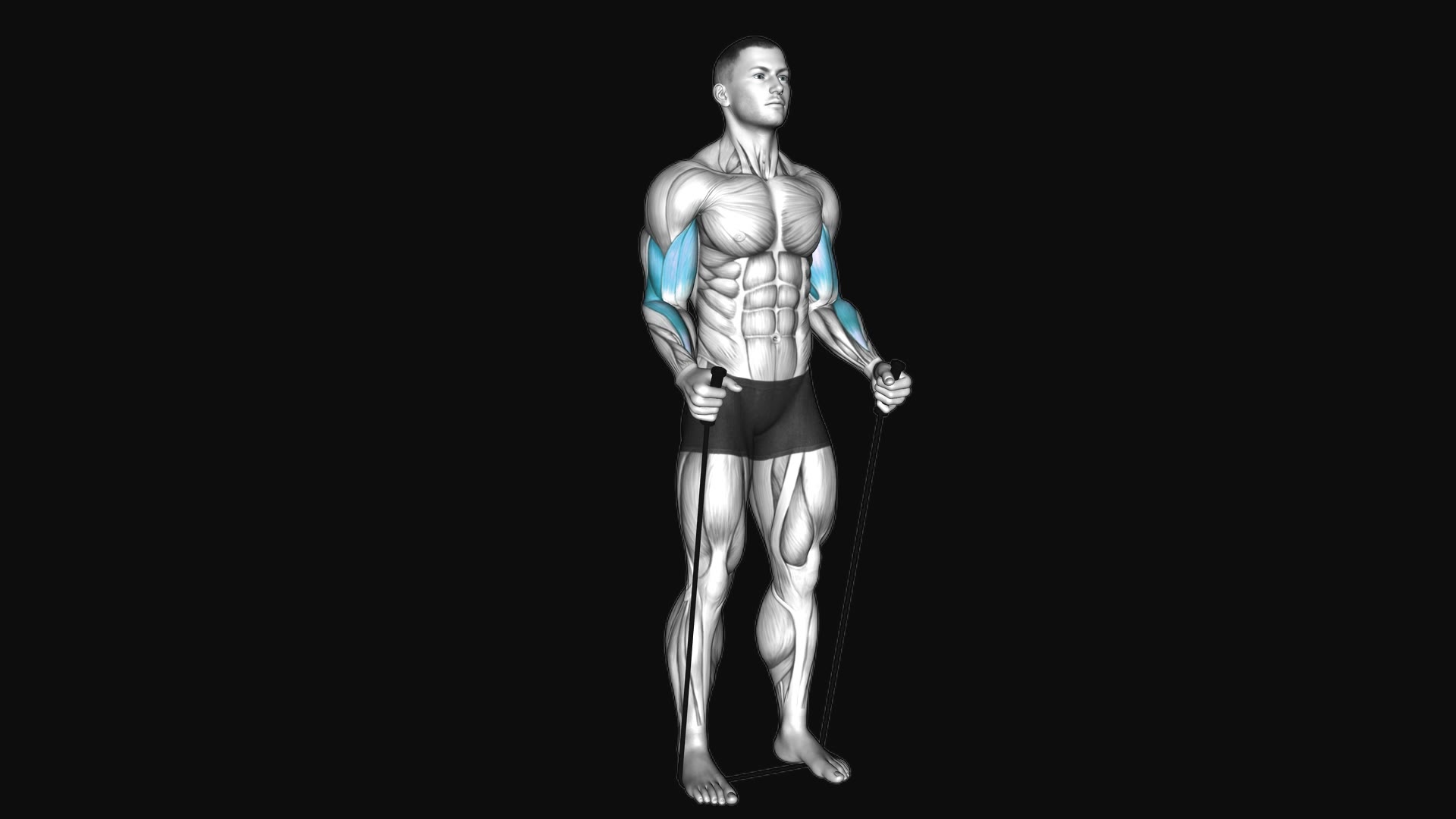 Band Standing Hammer Curl