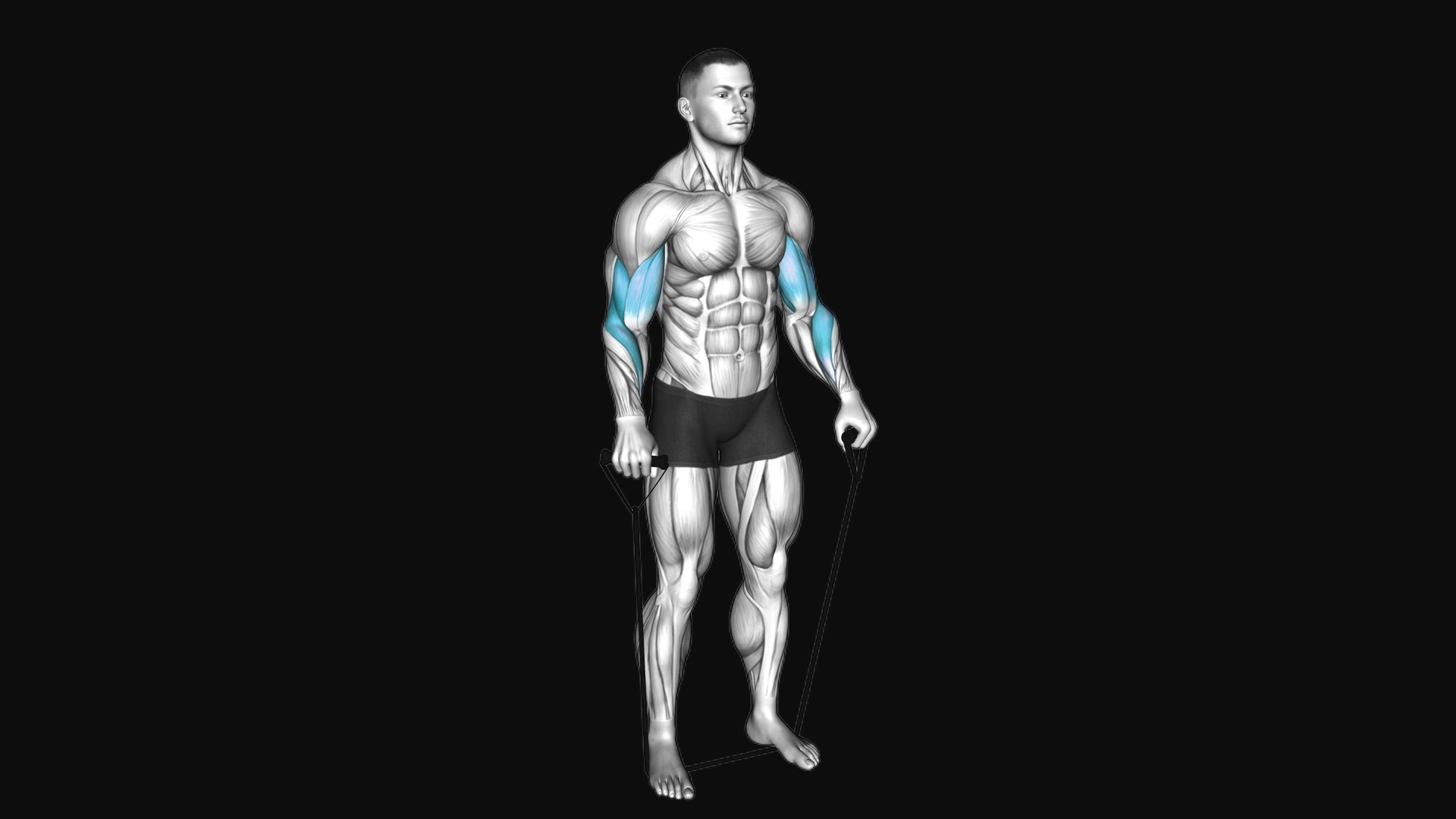 Band Standing Reverse Curl