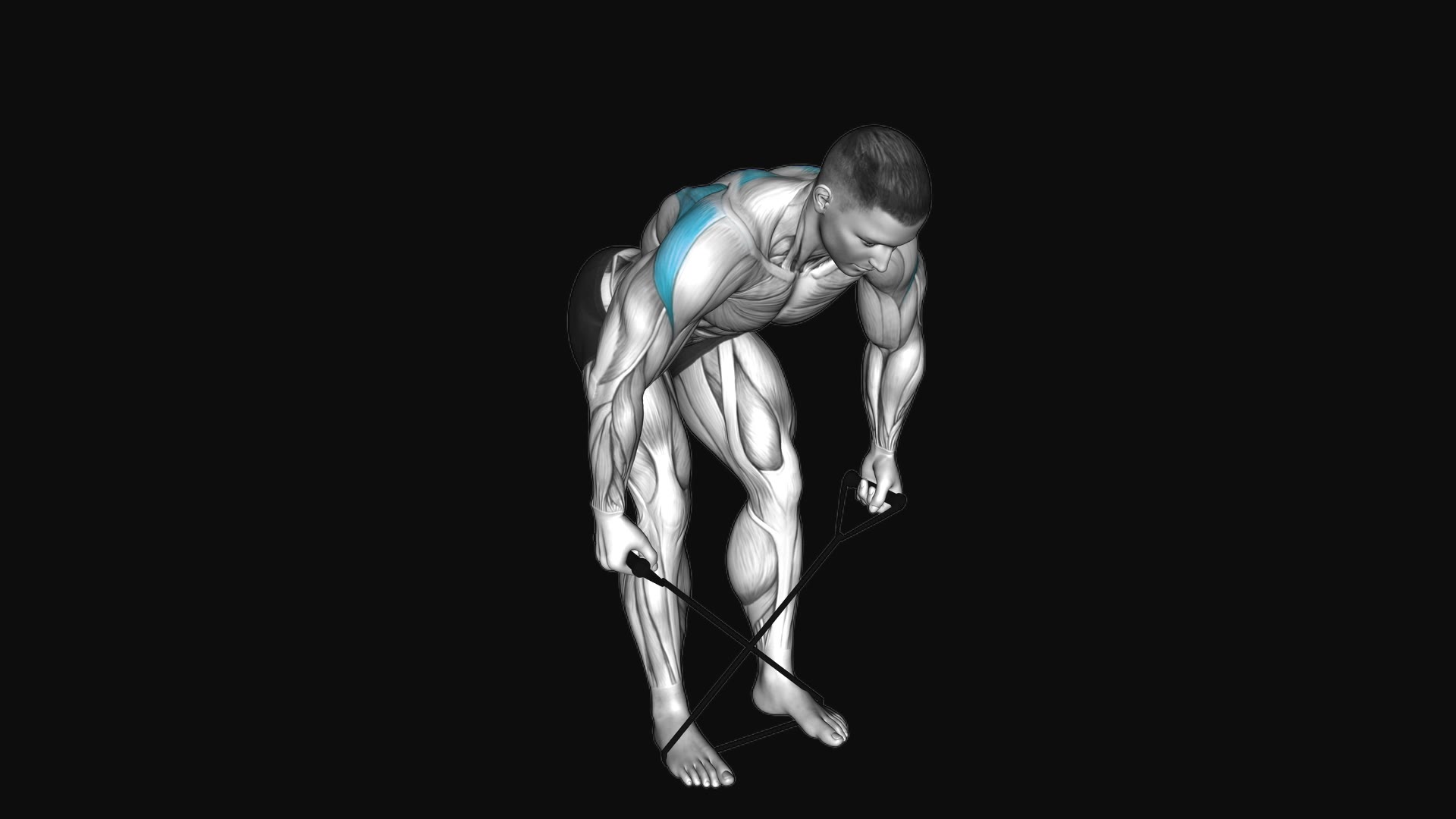 Band Bent over Rear Lateral Raise (Version 2)