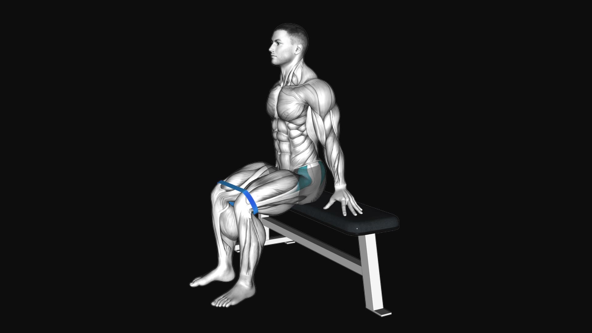 Resistance Band Seated Hip Abduction (Version 2)