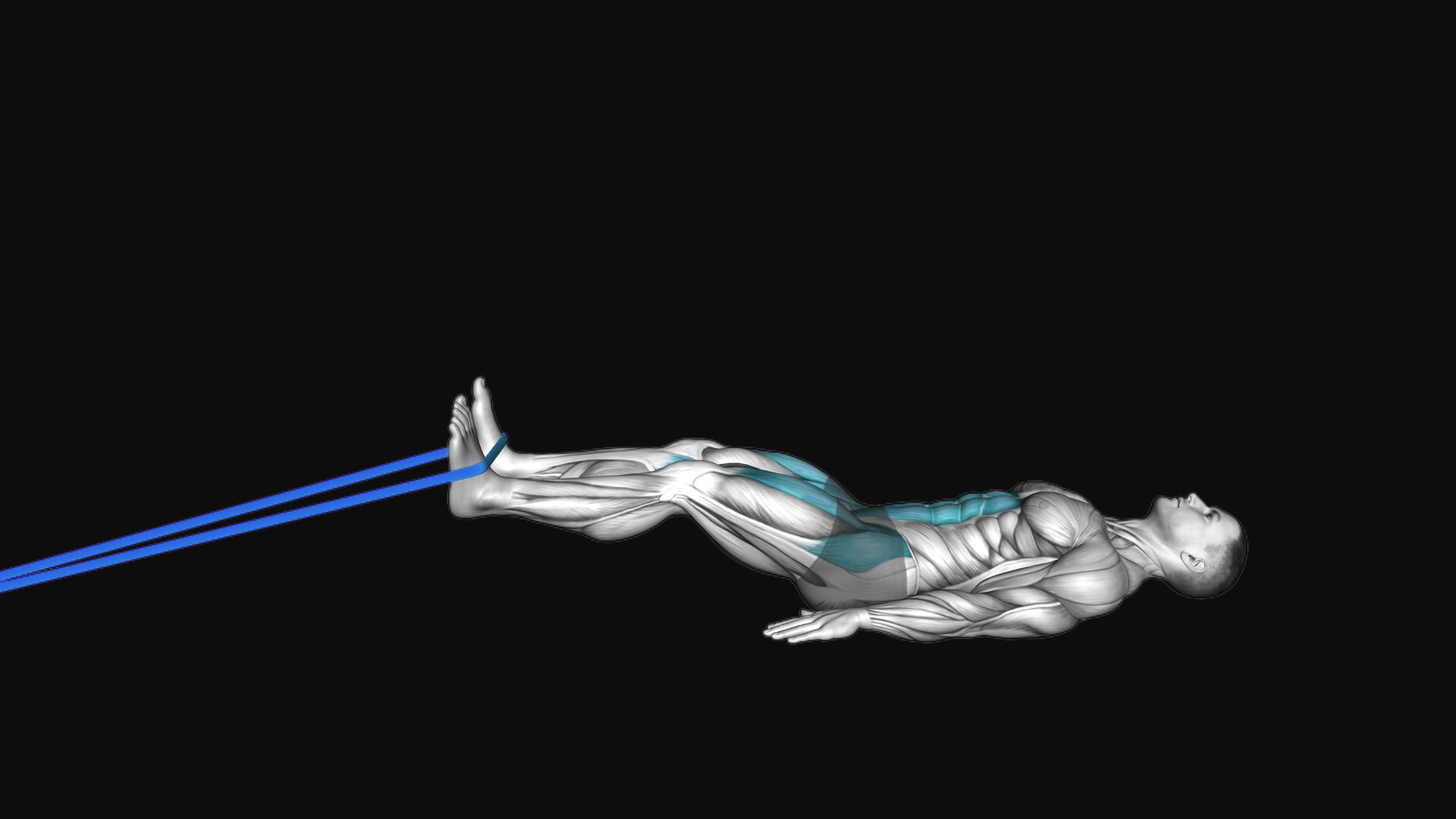 Resistance Band Lying Bent Knee Raise