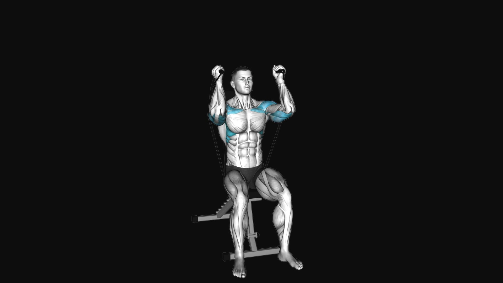 Band Seated Neutral Grip Shoulders Press