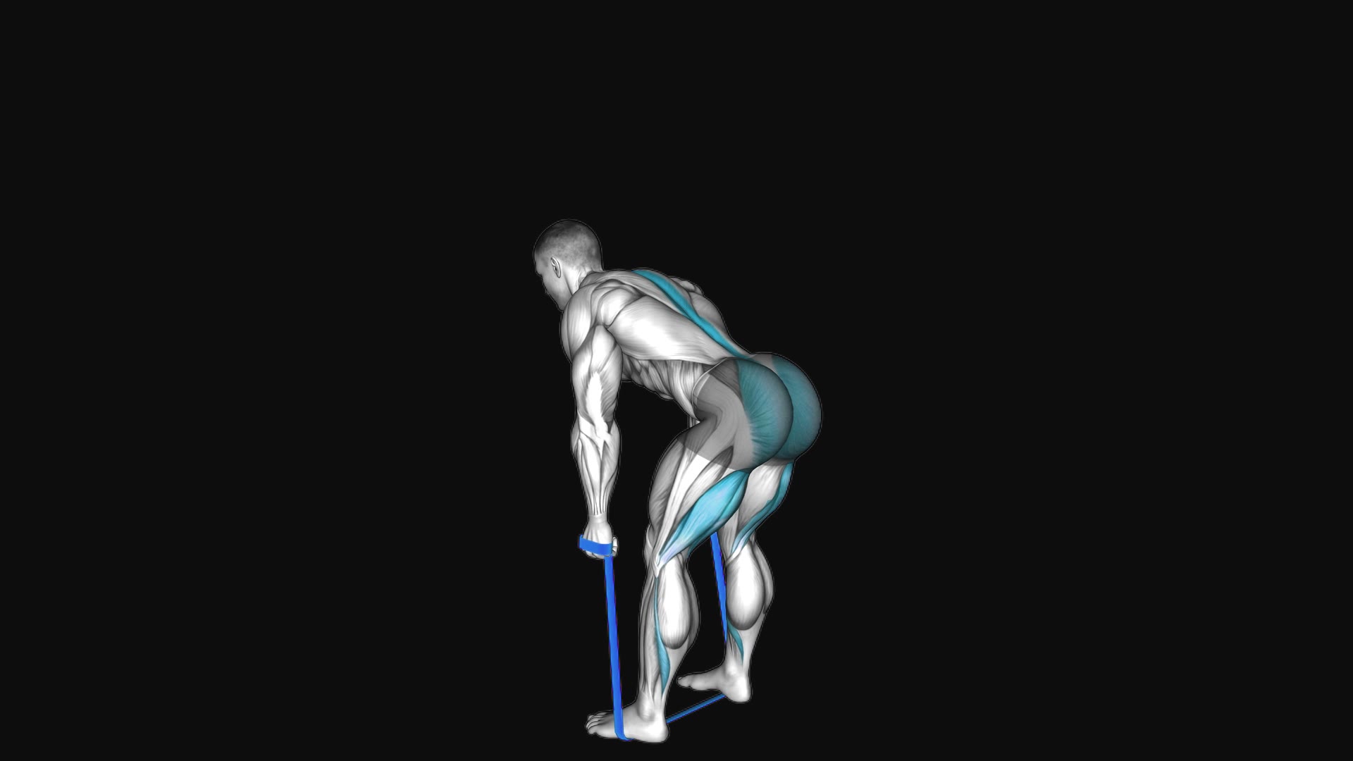 Resistance Band Romanian Deadlift