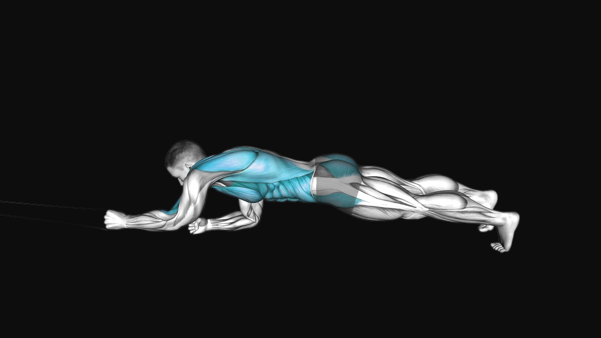 Resistance Band Elbow Plank with Single Arm Pulldown