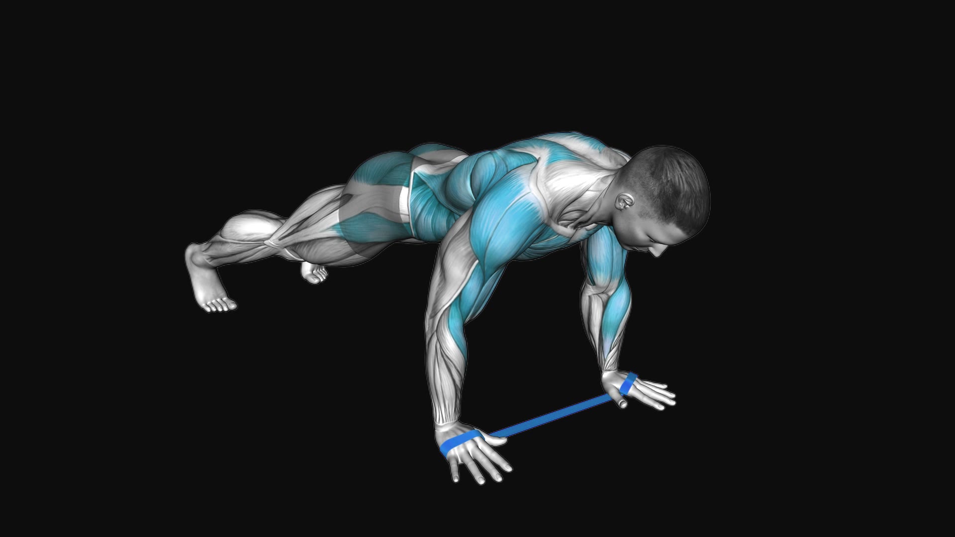 Resistance Band Renegade Row