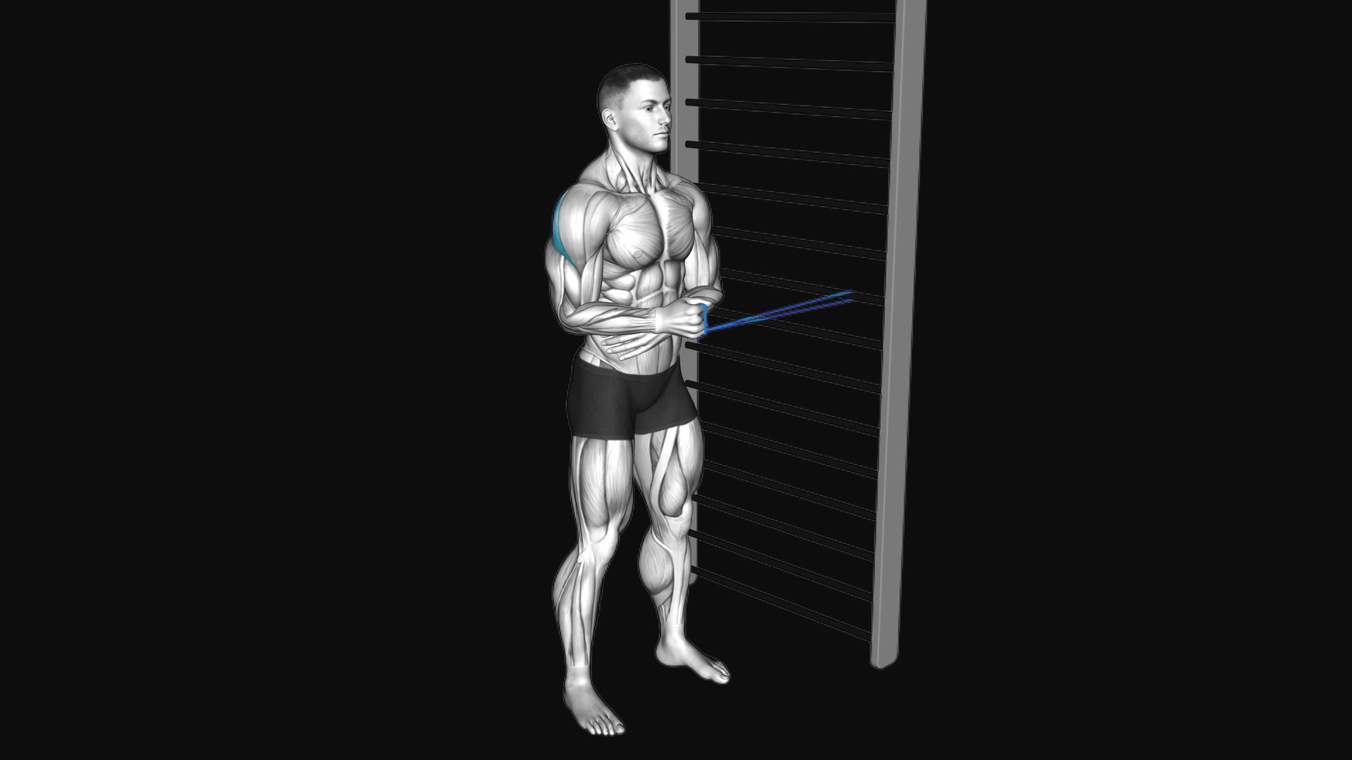 Resistance Band Standing Shoulder External Rotation