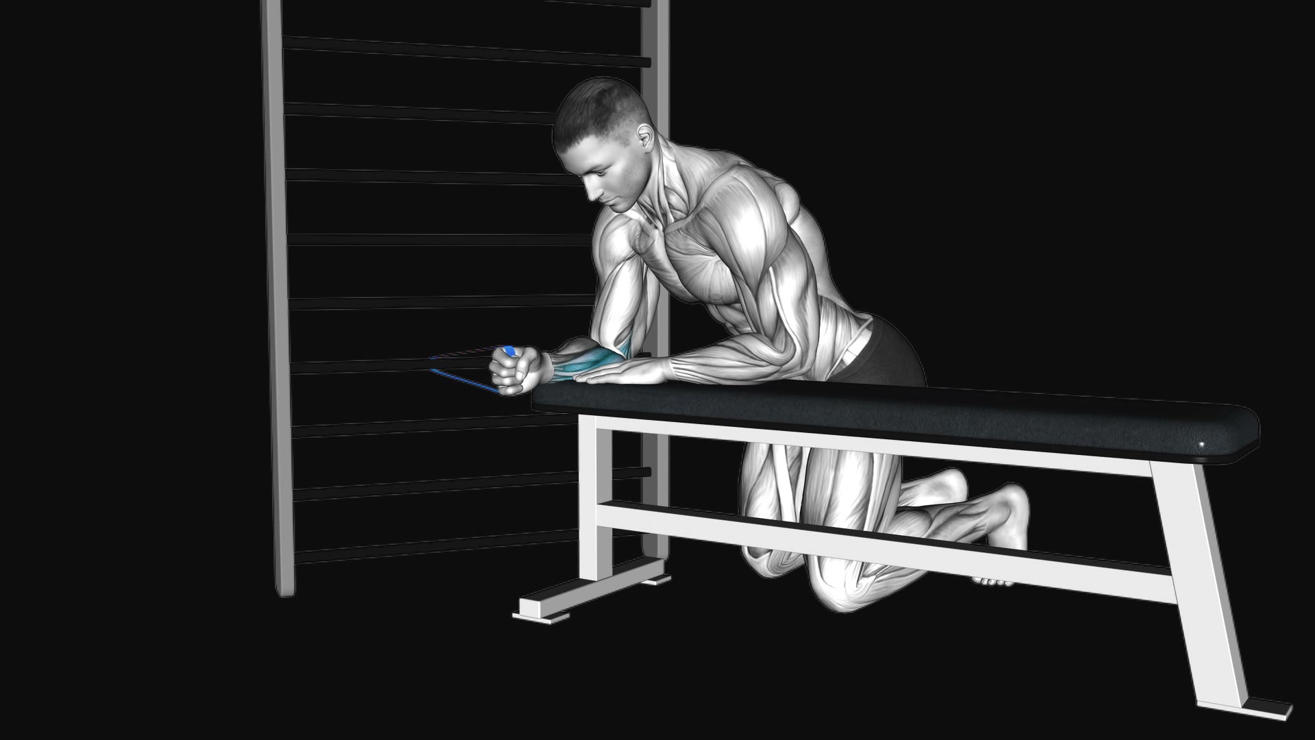 Resistance Band Wrist Flexion