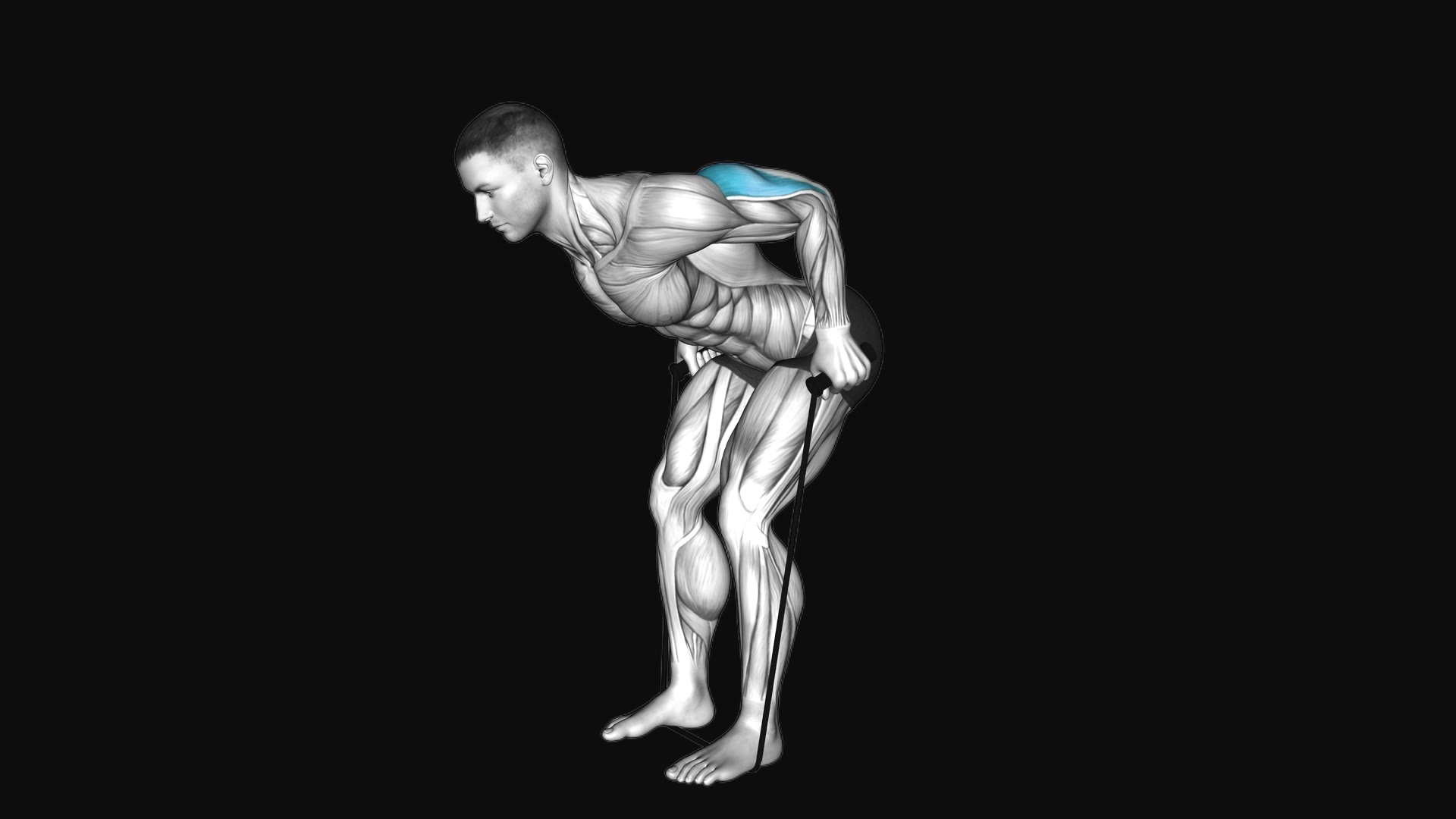 Band Triceps Neutral Grip Kickback