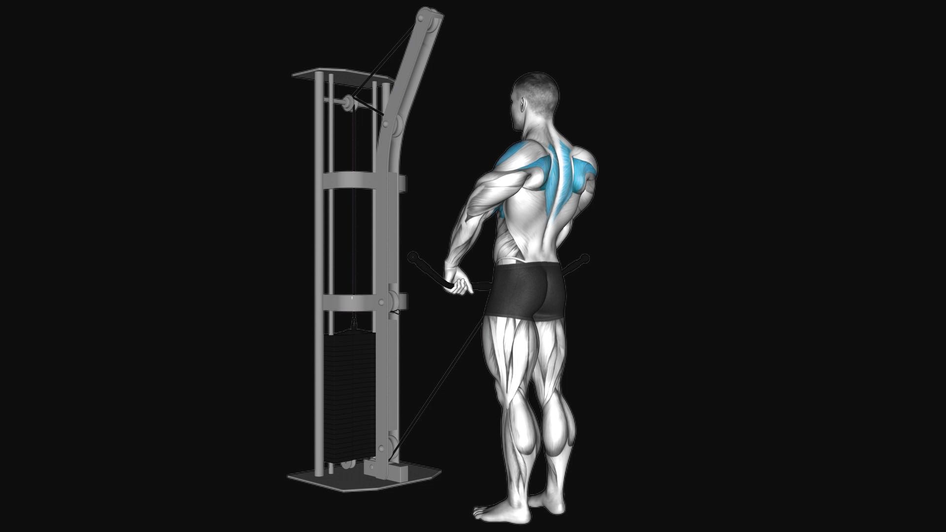 Cable Upright Row