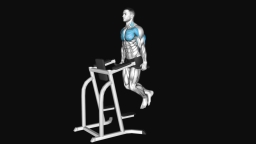 Chest Dip