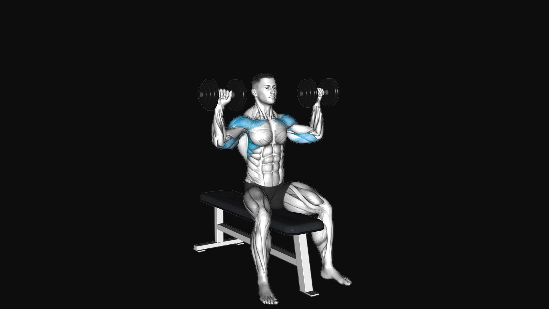Dumbbell Shoulder Press