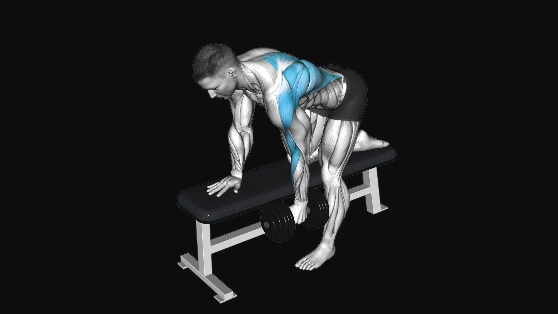 Dumbbell Row