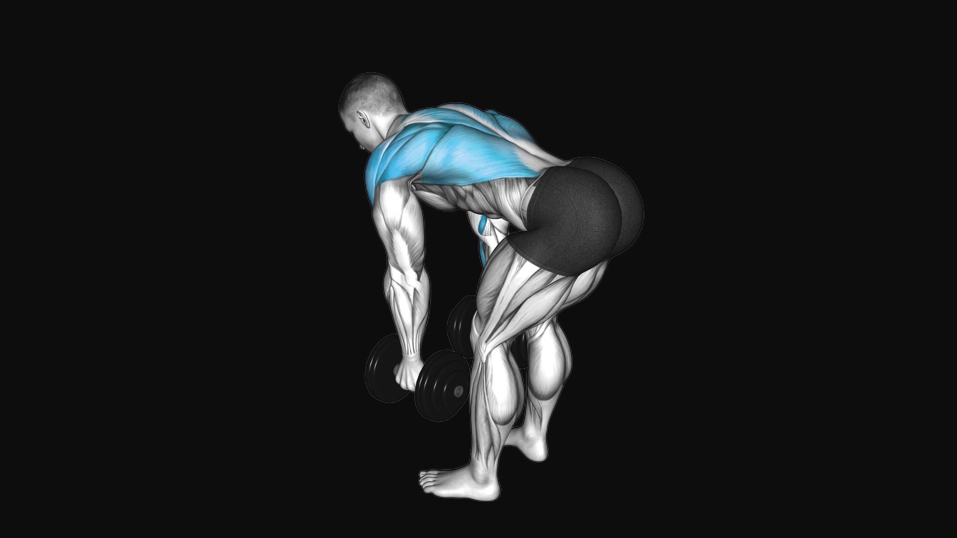 Dumbbell Bent-Over Row