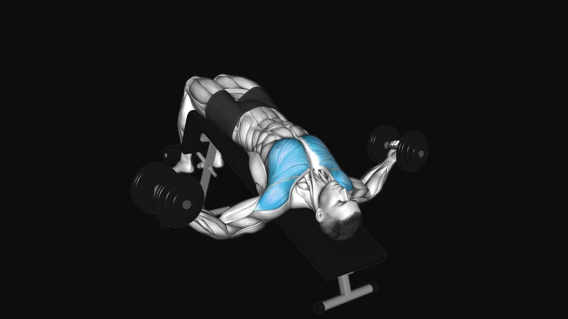 Dumbbell Decline Fly