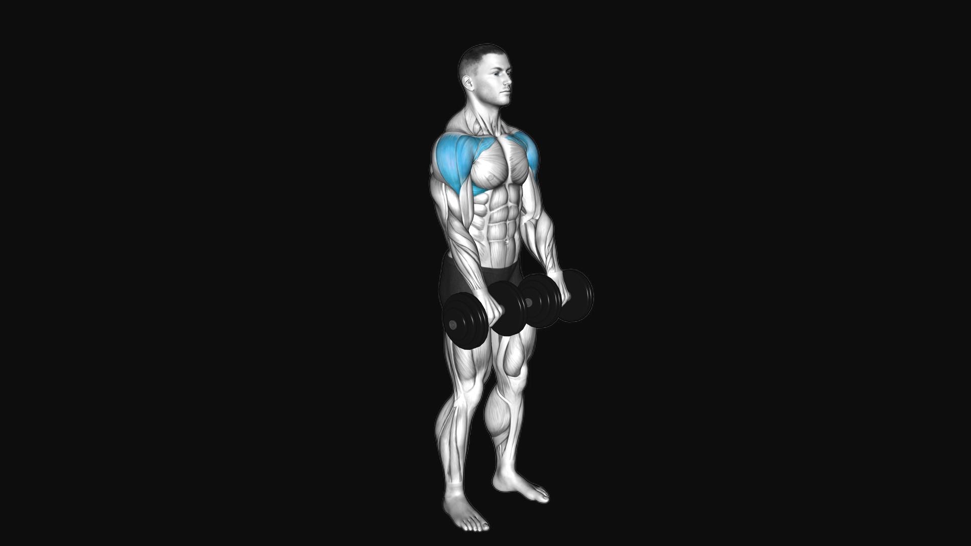 Dumbbell Front Raise