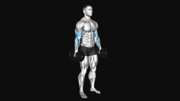 Dumbbell Hammer Curl
