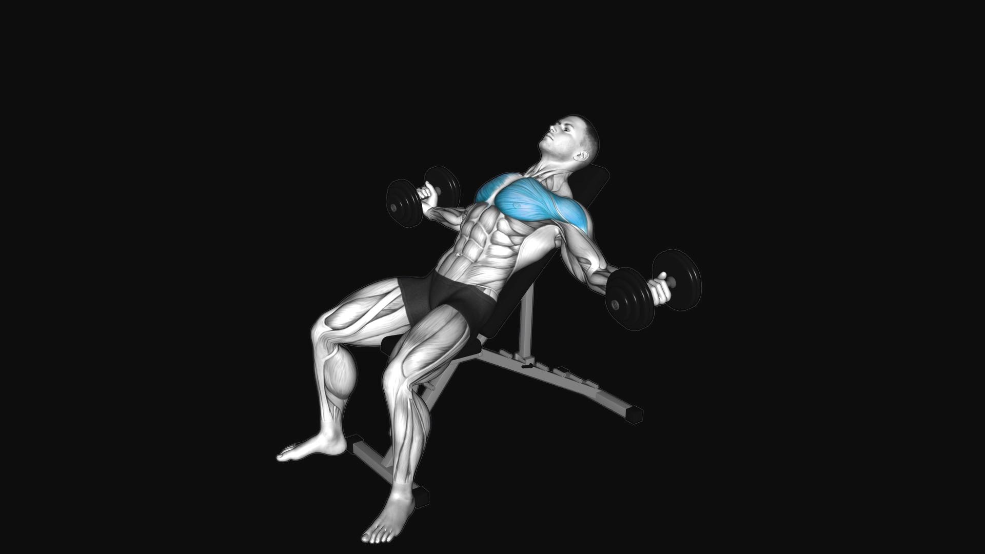 Dumbbell Incline Fly
