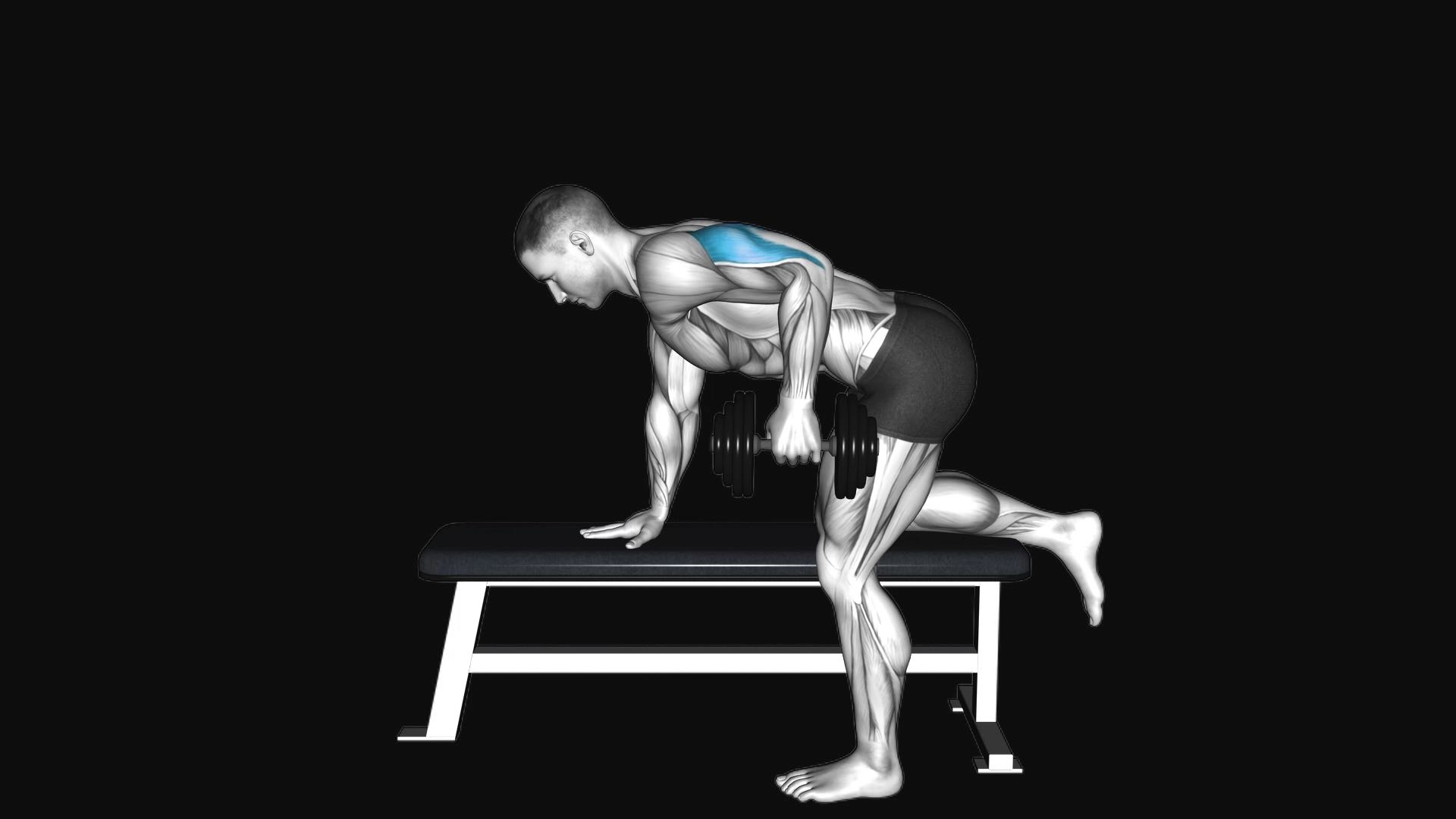 Dumbbell Kickback
